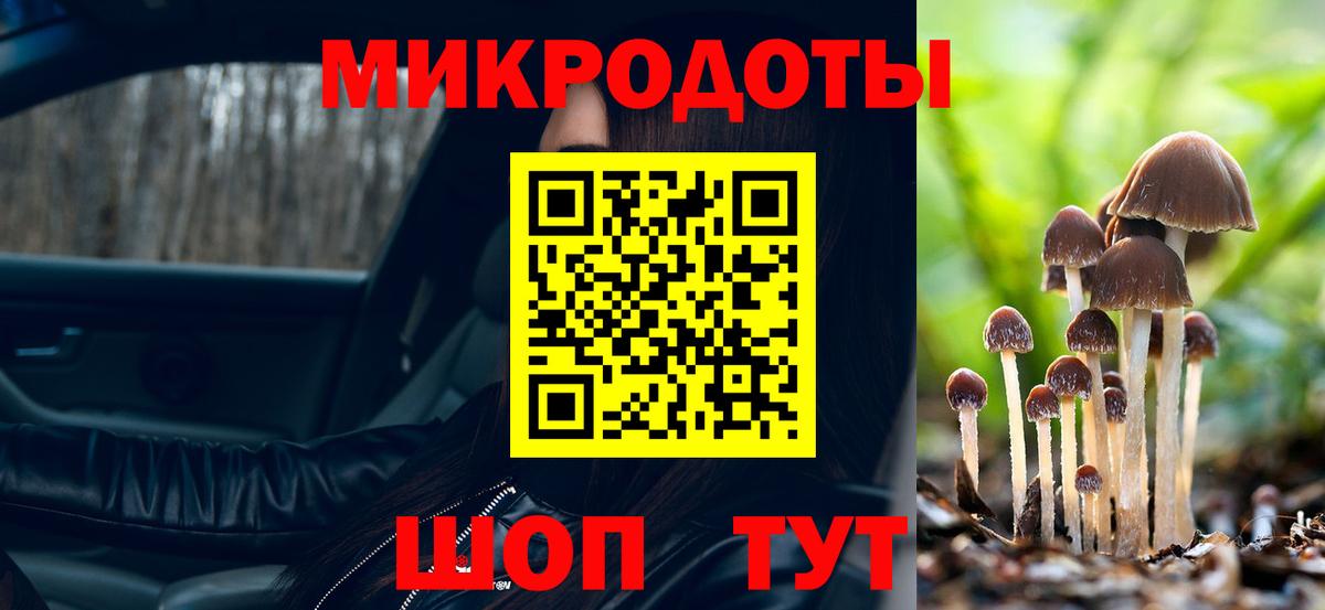 Острогожск  Галлюциногенные грибы прущие грибы  Вход с VPN 